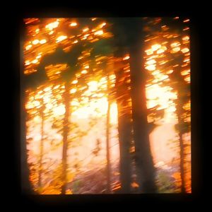 舒琪做爰全过程
