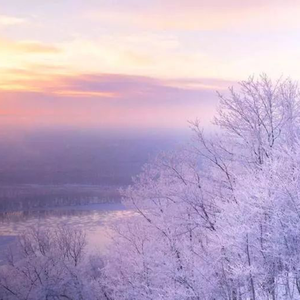 舒琪做爰全过程
